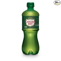 Ginger Ale (1 Lt )